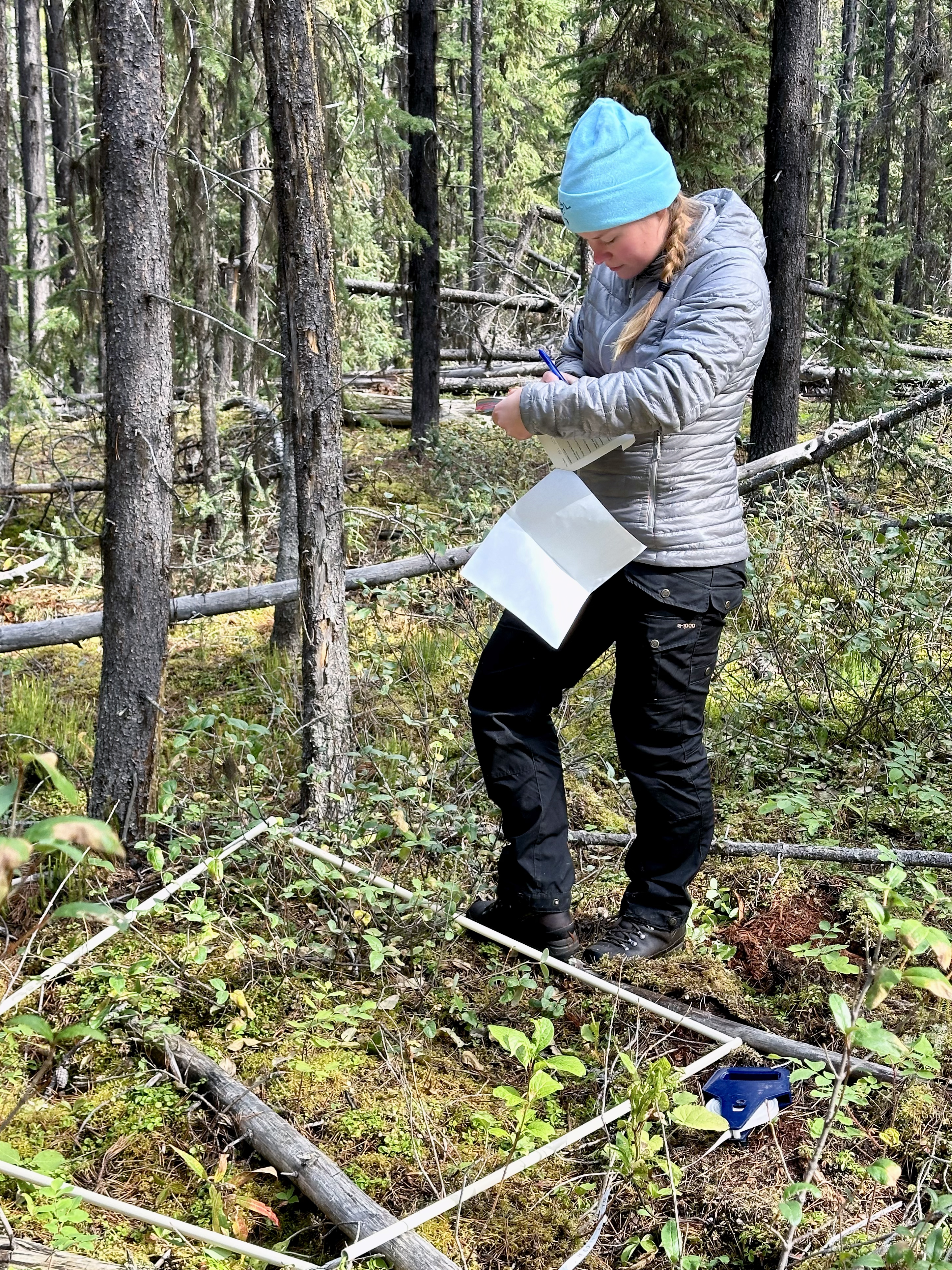 Sociocultural Dynamics of Wildfire Career